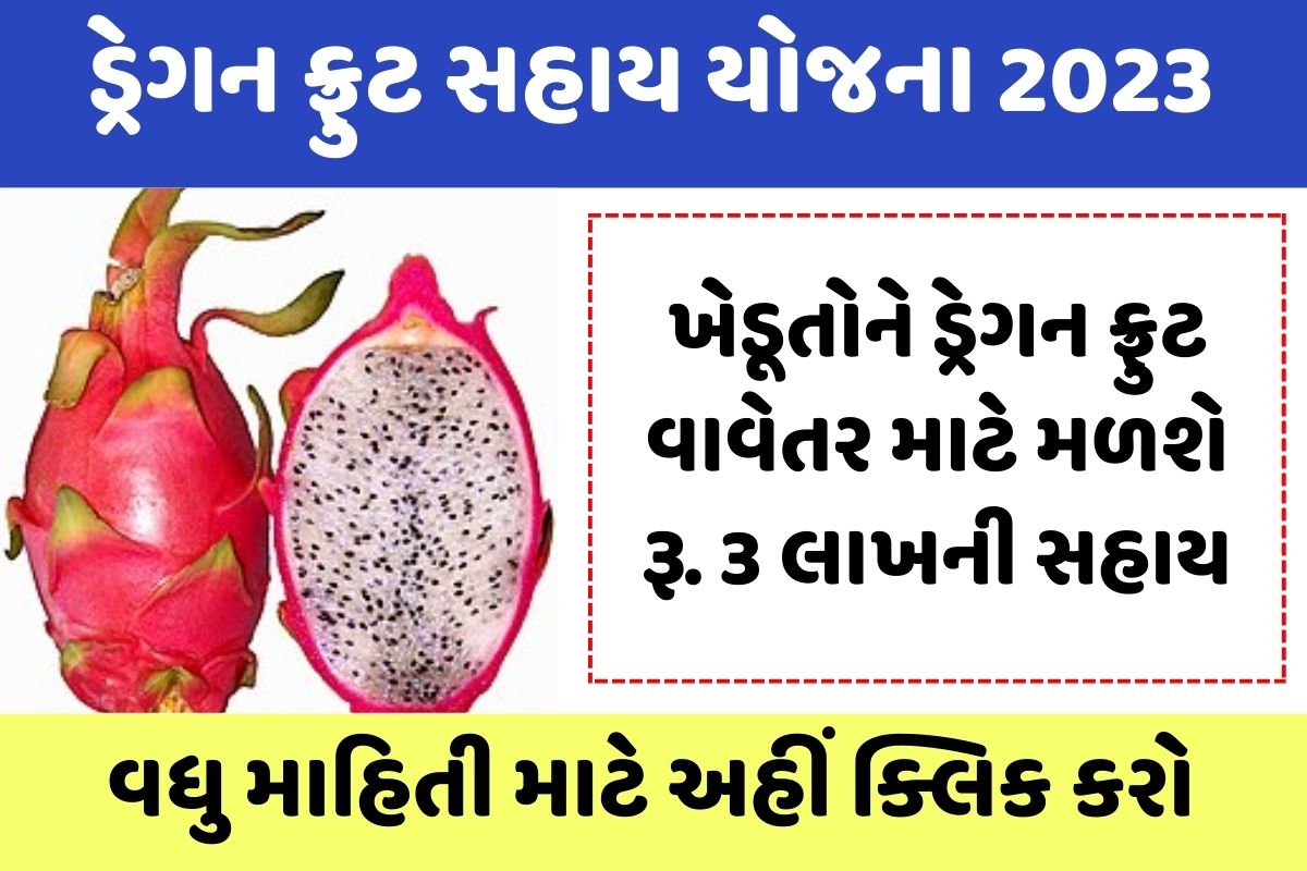 ફ્રુટ સહાય યોજના 2023